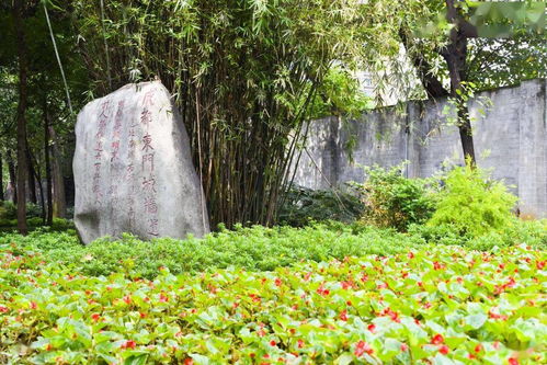 成都有哪些以花草树木命名的街 组图