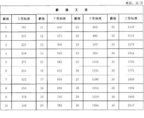 绩效工资标准？绩效工资发放标准