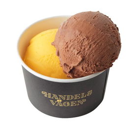 冰淇淋和巧克力的搭配是夏天最美的清凉