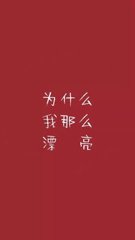 12.13 小头像 壁纸 