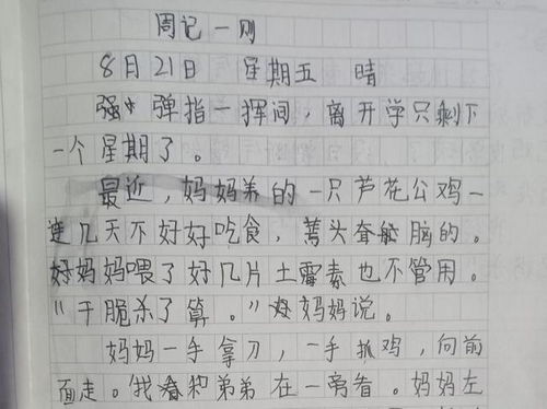 小学二年级周记范文  小学二年级日记《我的妈妈》？