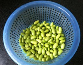 绿色的黄豆可以做豆浆吗 