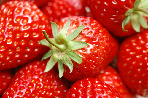 草莓什么样子(写草莓
