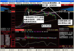 请问怎样分辨那些是T+0的股票，那些是T+1的股票，中国南车是T+0还是T+I?