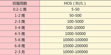 hcg正常值对照表