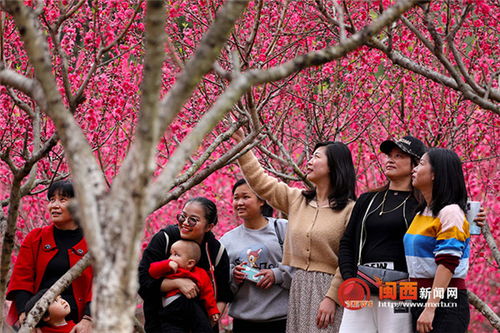 福建龙岩 又是一年春正好 文明赏花成观景常态 