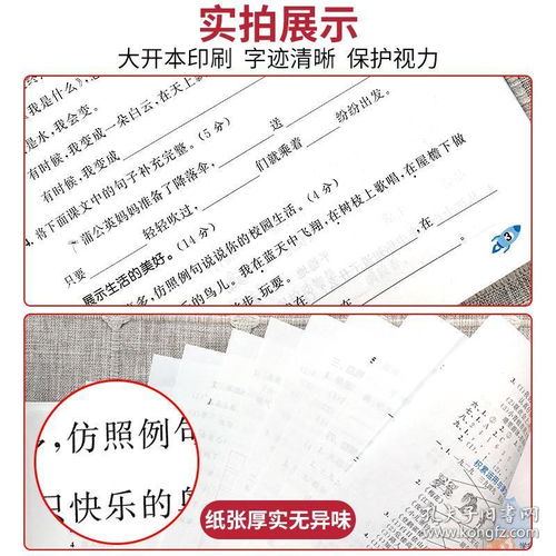 2020新版53全优卷二年级上册语文试卷测试卷全套部编版人教版小学2年级上5.3天天练同步训练题五三作业本练习册单元期中期末测试卷