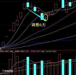 我明明买股票有下单的。为什么第2天看的时候去没有看到买进的股票！钱还在那里，没动过