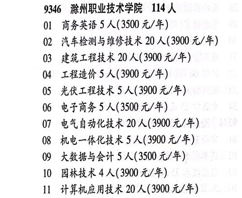 2023年高考填报时间，2023年大学及专业代码