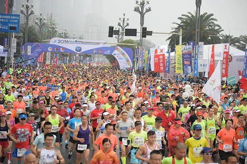 重庆国际马拉松赛官网(重庆国际马拉松比赛时间)