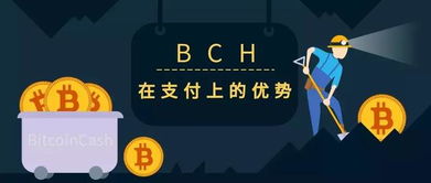 骂人bch是什么意思啊