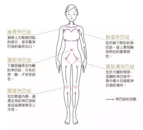 颈部 腋下 腹股沟酸胀感 淋巴排毒这三个部位最重要