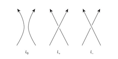 笛卡尔简单的发现,引发了一场深刻的数学革命,致使拓扑学诞生