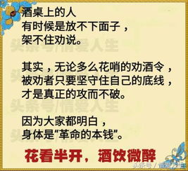 喝酒的的解释词语—酒烈暖喉什么意思？