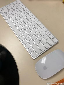 mac安装win10鼠标