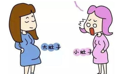 孕肚大小,可看孕妈和胎儿健康情况,想掌握动态,孕妈学起来 宝宝 