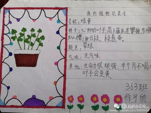三年级植物记录卡怎么写 暑假植物生长观察日记