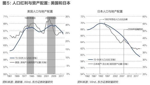 重查王芦笋种子价格因素解析-为什么价格会波动？