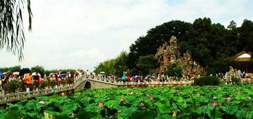 龙岩莲花山公园免费停车场,龙岩新罗区莲花山公园属于哪个社区