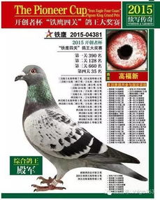 有种鸽子叫你吃不起 一只鸽子价值一辆百万级豪车中国土豪多 