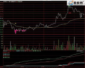 最新通达信主图分时指标如何安装