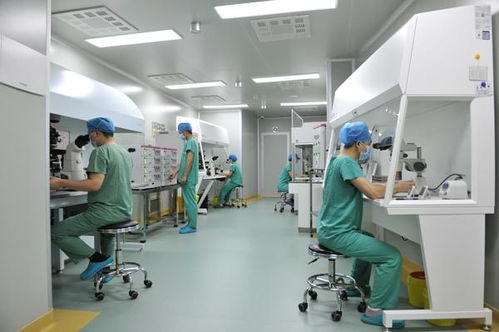安琪儿与綦江木子妇产医院建立不孕不育技术协作