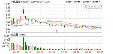 中铝国际工程股份有限公司