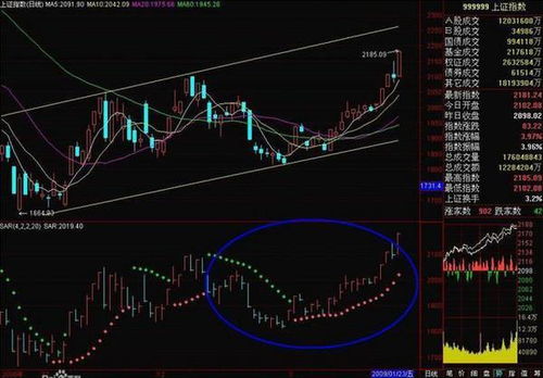 股市中rsz和sar技术指标是什么？