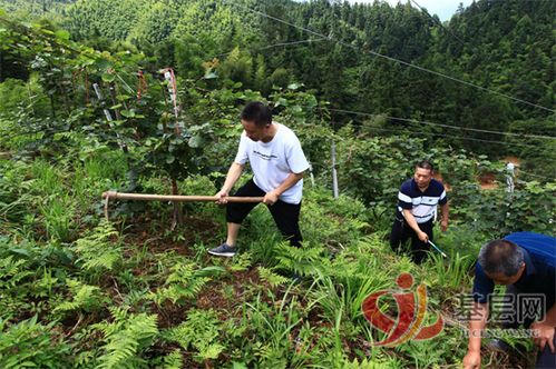 湖南邵阳城步白毛坪镇天气预报