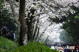 樱花校园怎么打高尔夫,樱花校园怎么跳的很高