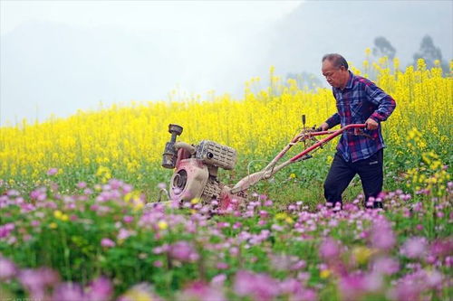 三月初五, 阴天下雨刮大风 是啥预兆 看看老祖宗的谚语怎么说