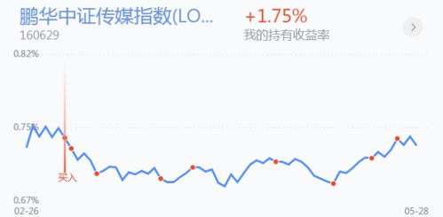 支付宝的天弘沪深300指数C是股票型基金吗？