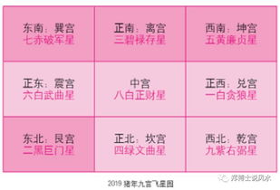 郑博士 如何利用2019吉星开运旺财 