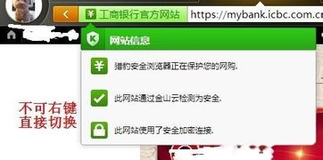 win10网银输不了密码怎么办