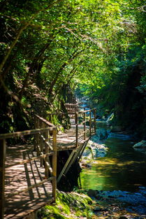 安徽石台夏日避暑胜地,景美人少名字还好听,速度加入旅行计划