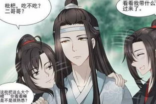 同人文 魔道祖师 蓝湛 魏婴 蓝忘机陪魏无羡一起回娘家 