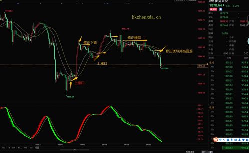 国际期货最新实时行情走势分析