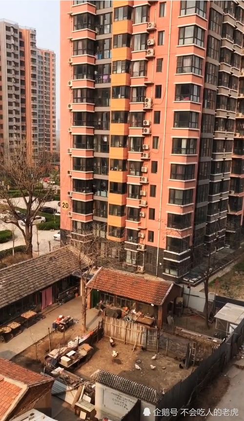 实拍 每天听着鸡叫起床,高楼小区里的农家院,在北京值多少钱啊