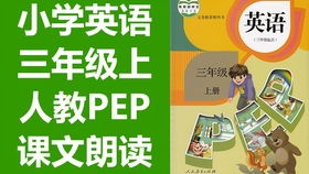 电卷棒的基本使用方法,入行十五年的高业绩发型设计师线上教学