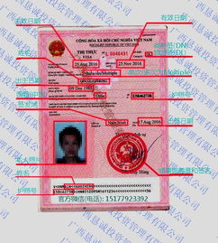 越南签证要多少钱