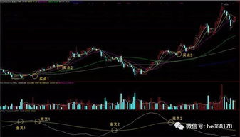 lwr指标实战技巧？