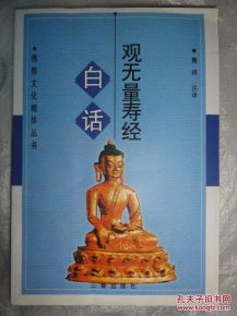 白话观无量寿经 佛教文化精华丛书