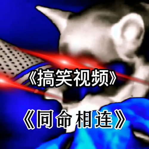 同命相连 搞笑 