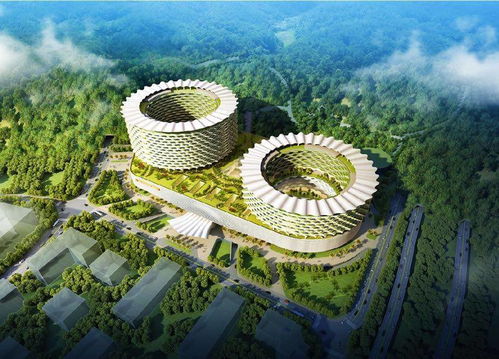 首超 百亿 深圳大鹏新区2021年重大项目固投创新高