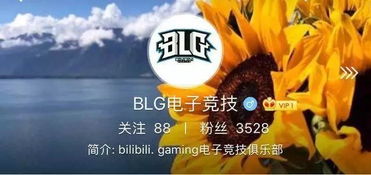 B站正式收购IM取名BLG,引网友疯狂花式取名 