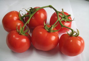 西红柿的减肥秘密 吸脂又美白