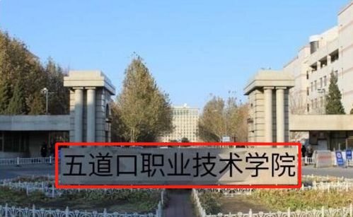 清华有专科文凭 五道口职业学院 是真的 含金量不亚于985