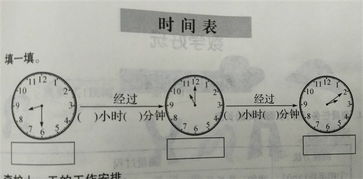 再教三年级数学 筱洁 