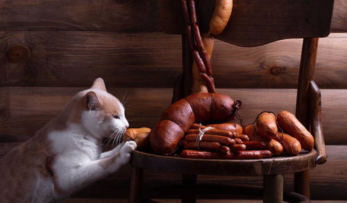 猫能吃羊肉吗,猫能吃熟羊肉吗
