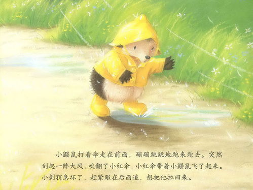儿童绘本故事推荐 雨中的小红伞